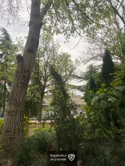 ویلای تریبلکس 500 متری در نیاوران