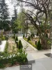 ویلای تریبلکس 500 متری در نیاوران