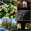 ویلای 200 متری در 2600 متر زمین در لواسان